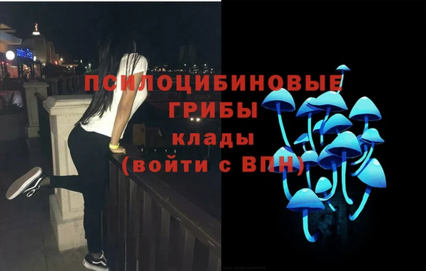 Альфа ПВП Арсеньев