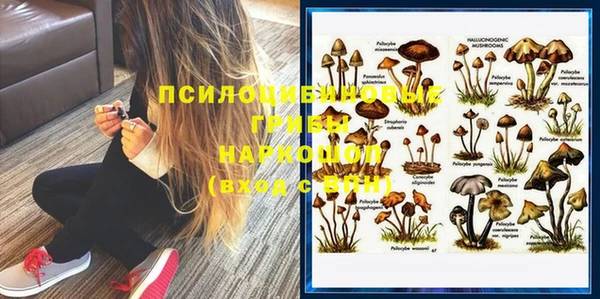 бошки Нефтекумск
