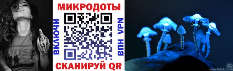KRAKEN рабочий сайт  дарк нет состав  Псилоцибиновые грибы прущие грибы  Чегем 
